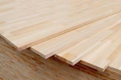 评估光照前提（无遮挡）、地质环境和地下管线