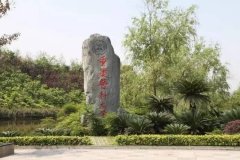 1948年起头扶植新图书