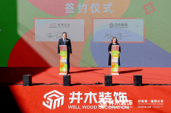 <b>家拆渠道以及线下零售模式的摸索</b>